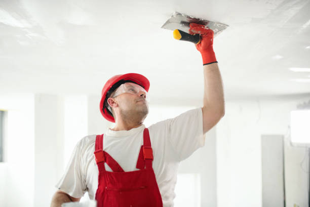 Best Mold Odor Removal Services  in Highland Heights, OH